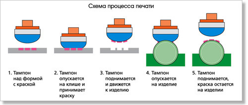 Tampo_5